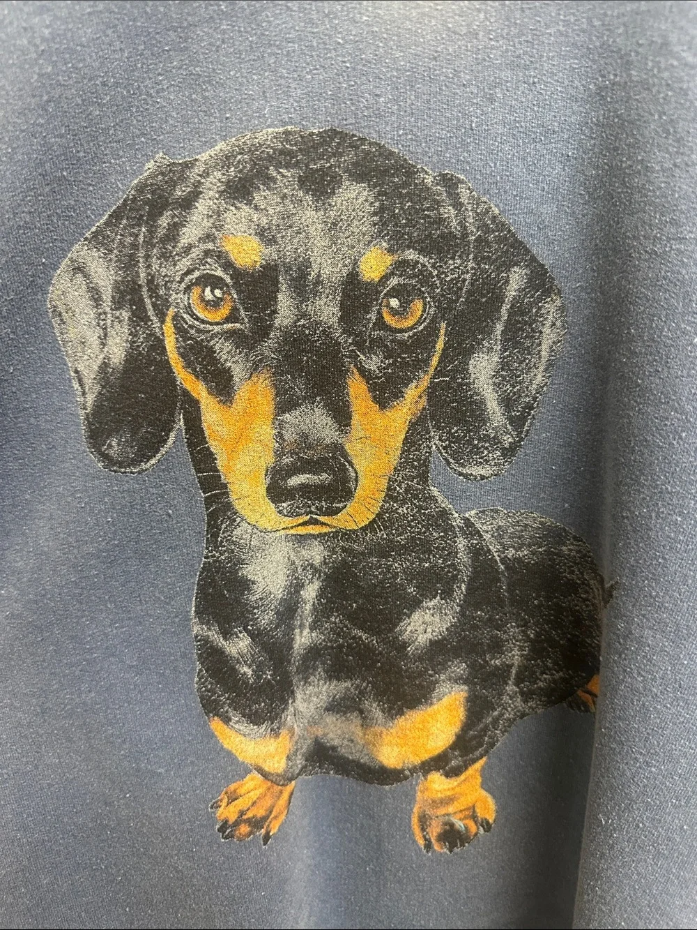 NWT By Anthropologie Dashhound Sweatshirt - Picture 3 of 3
